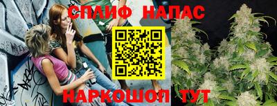 спайс Можга